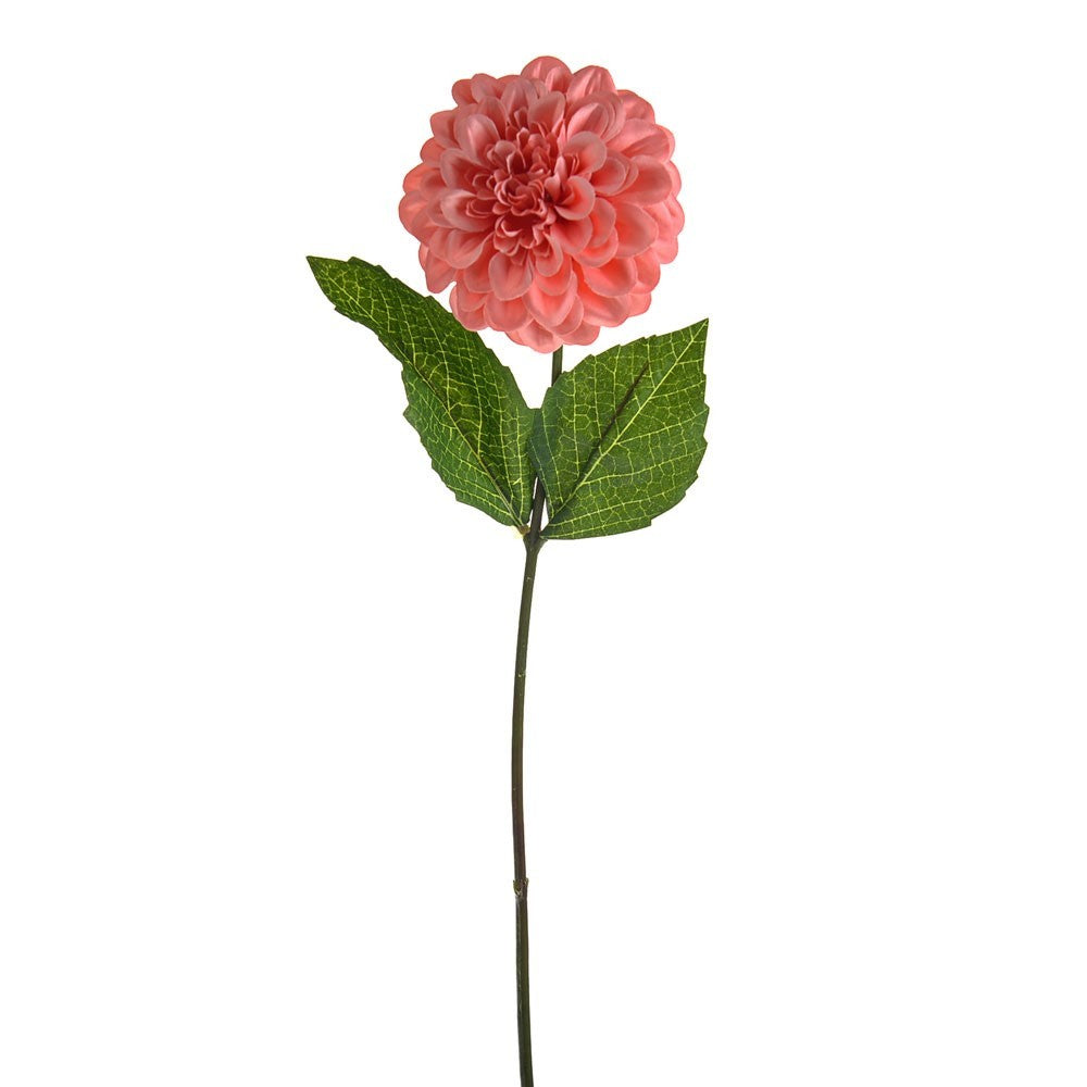 Discover the Coral Olivia Zinnia Stem (46cm) at Bristow Direct