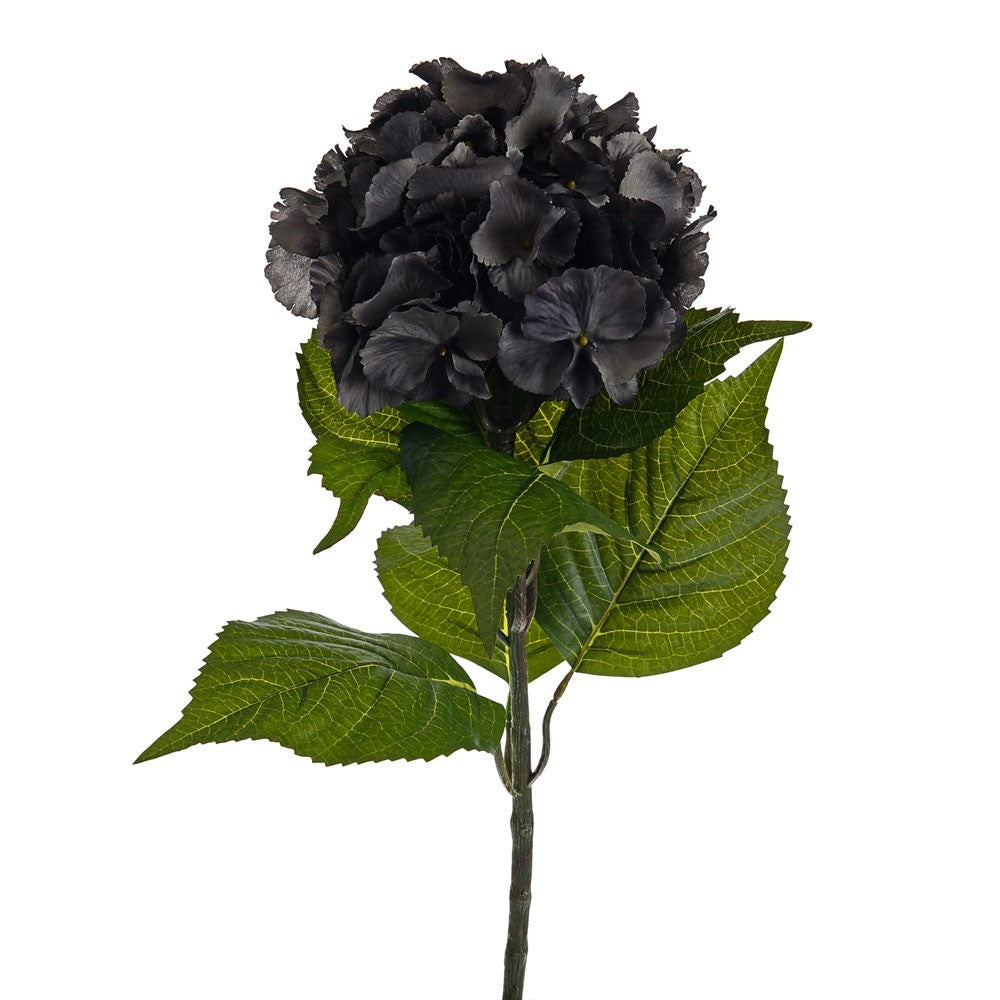 Dark Grey Amelia Hydrangea