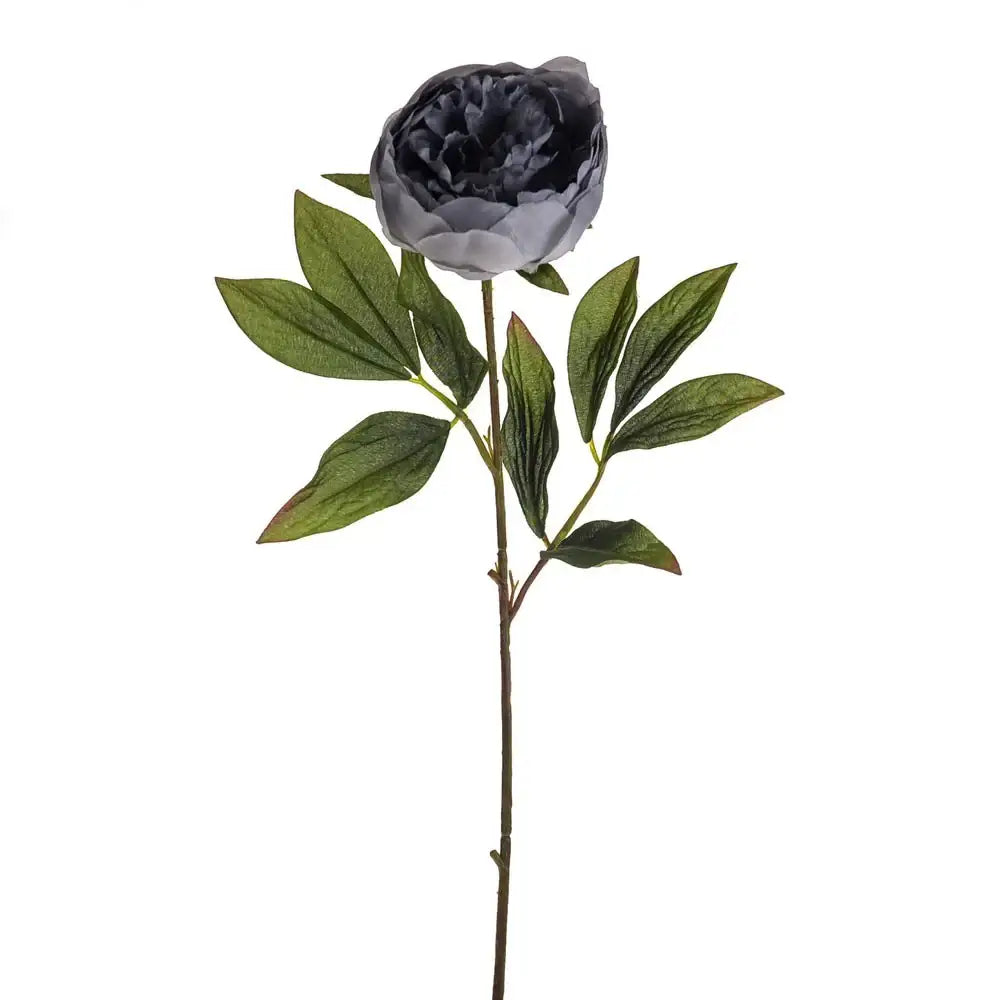 Light Grey Amelia Peony Stem