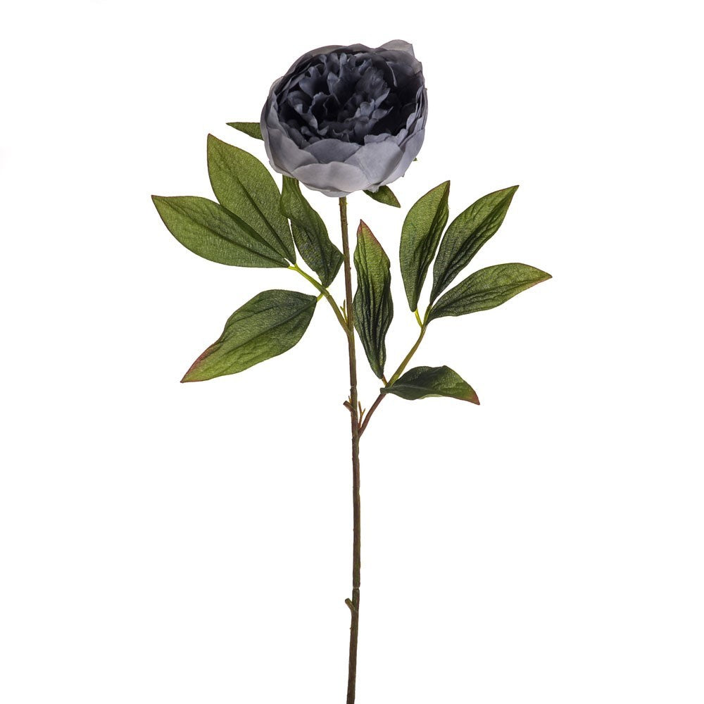 Light Grey Amelia Peony Stem