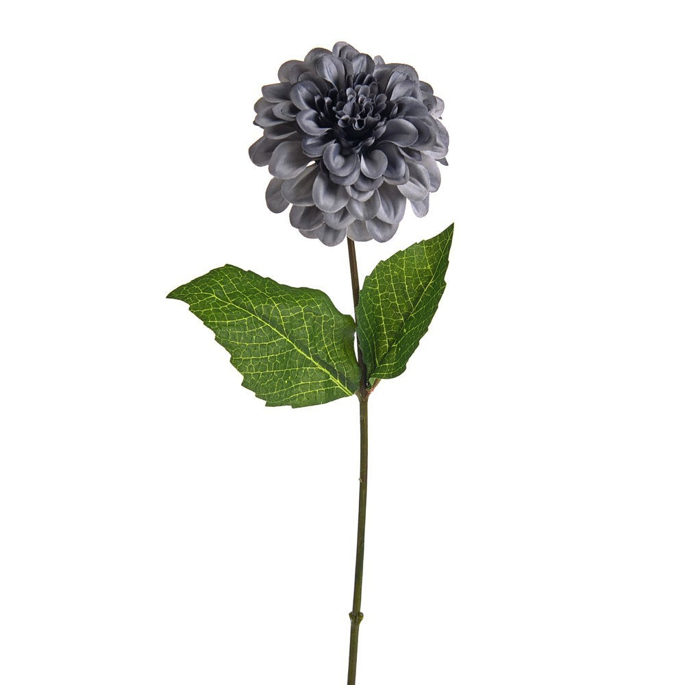 Light Grey Amelia Zinnia Stem