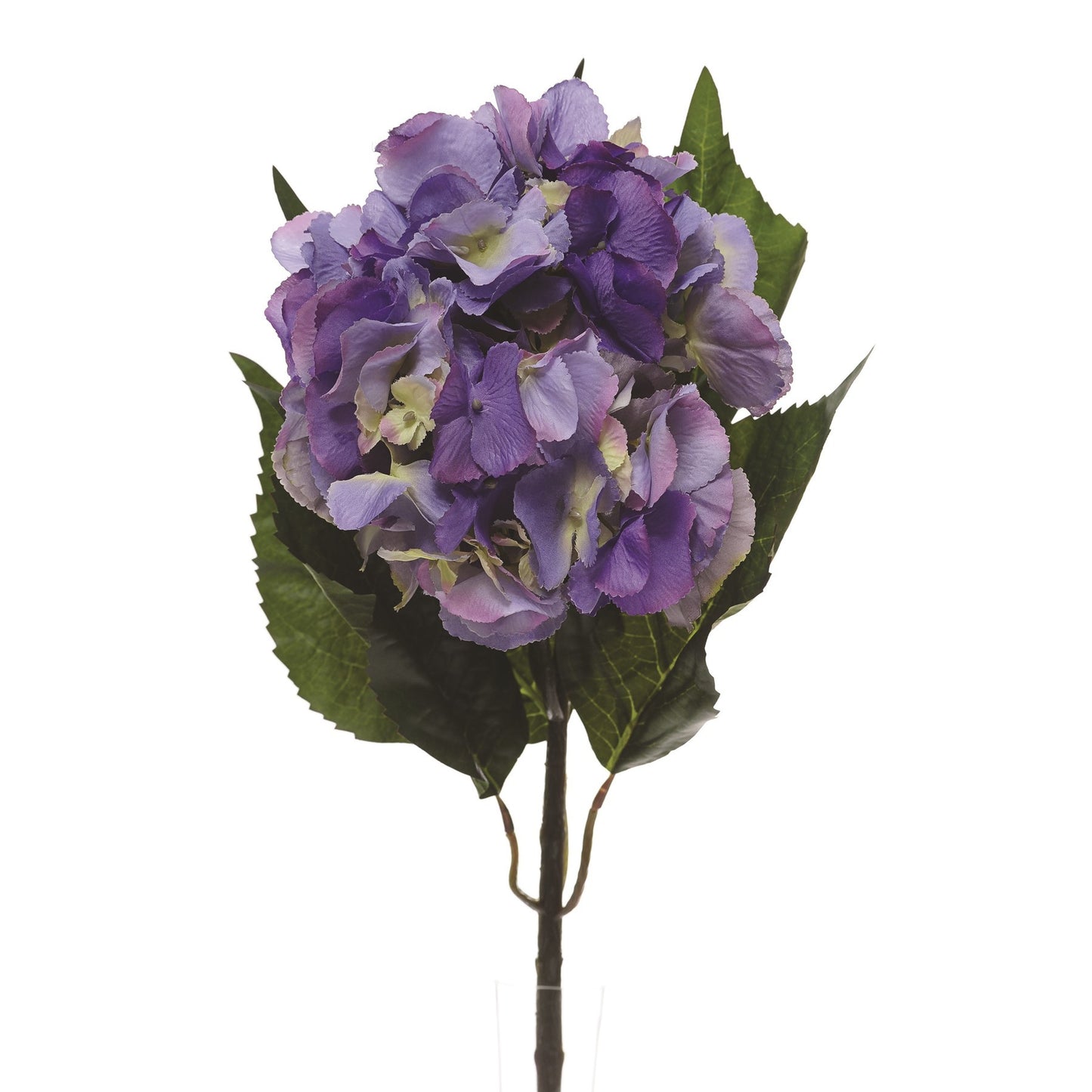 Lavender Hydrangea Extra Large