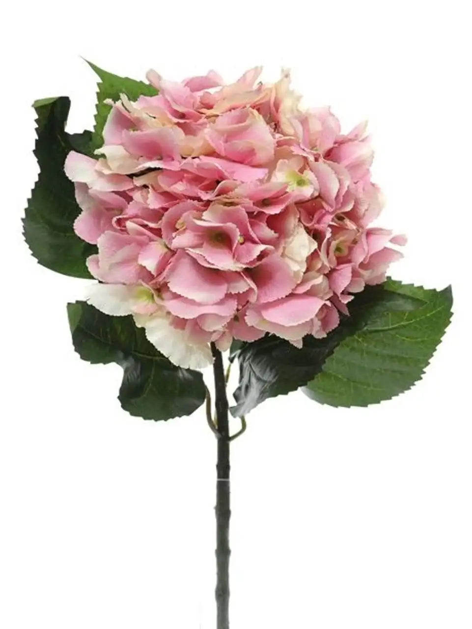 Pink Hydrangea Extra Large