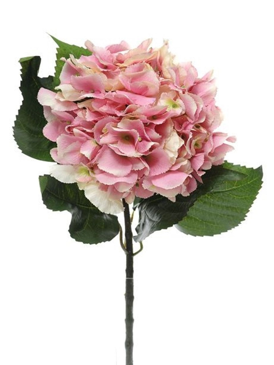 Pink Hydrangea Extra Large