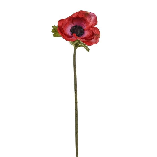 Discover the Red Anemone Stem (37cm) at Bristow Direct