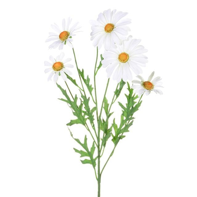 Discover the White Daisy Spray (66cm) at Bristow Direct
