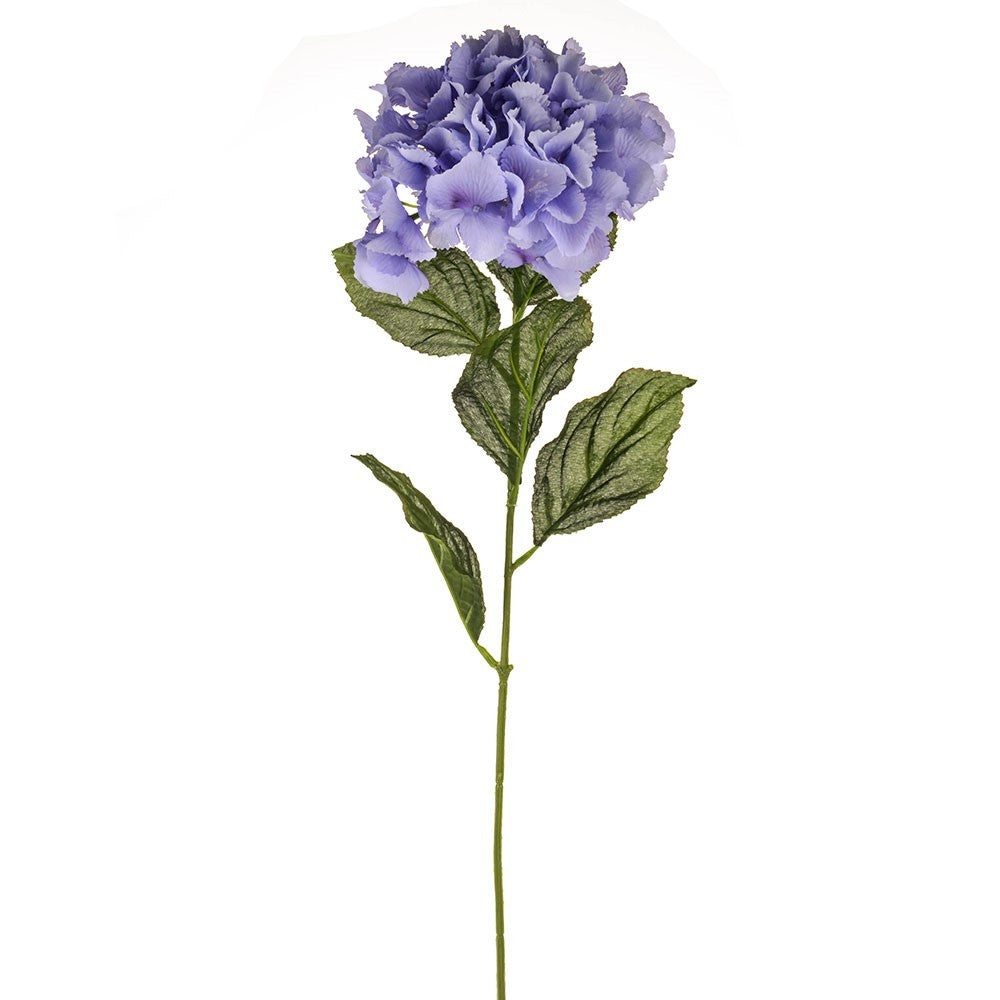 Lilac Elsa Hydrangea
