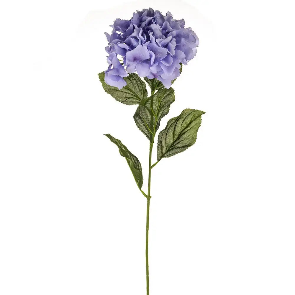Lilac Elsa Hydrangea