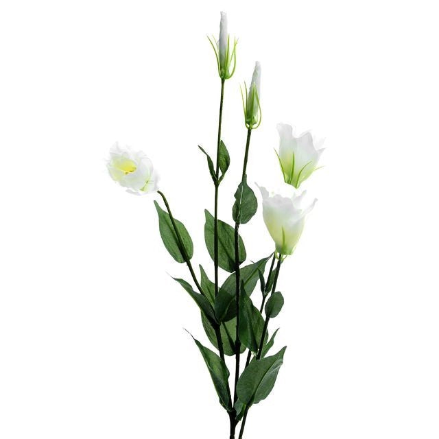 Ivory Lisianthus Spray