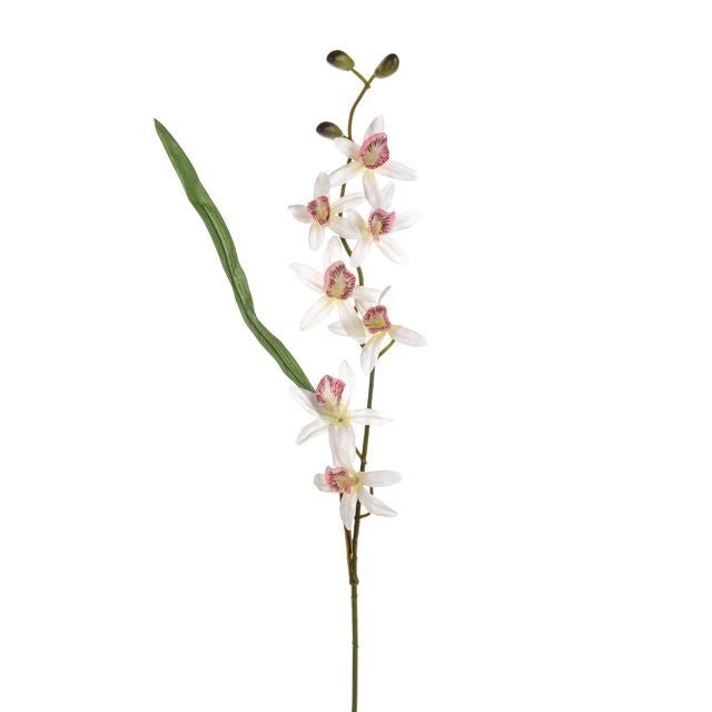 Discover the White Mini Orchid Stem at Bristow Direct