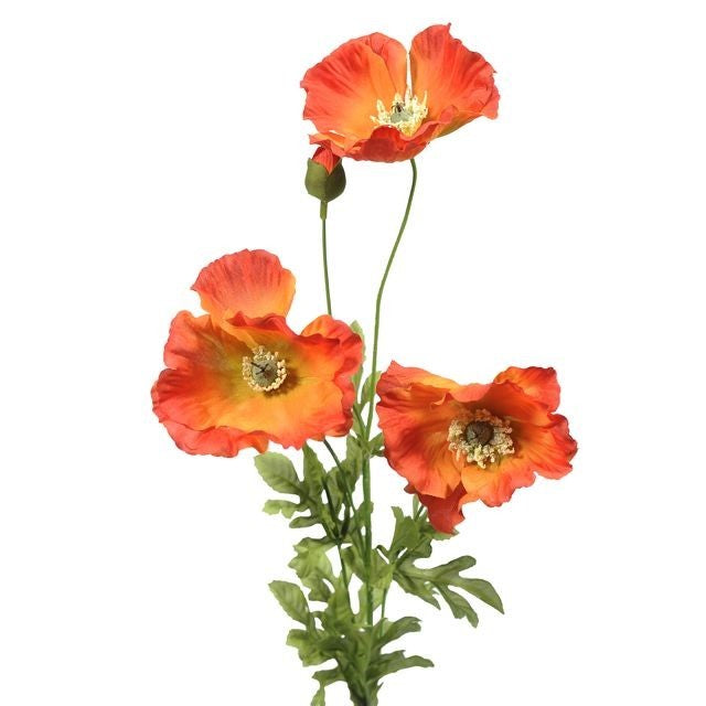 Discover the Orange Poppy 3 Heads 2 Buds (74cm) at Bristow Direct