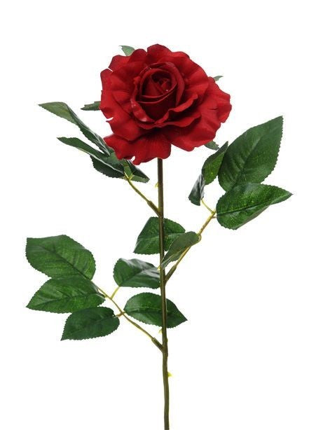 Discover the Red Premium Rose Medium (69cm) at Bristow Direct