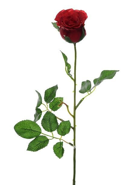 Discover the Red Precious Rose Bud (59cm) at Bristow Direct