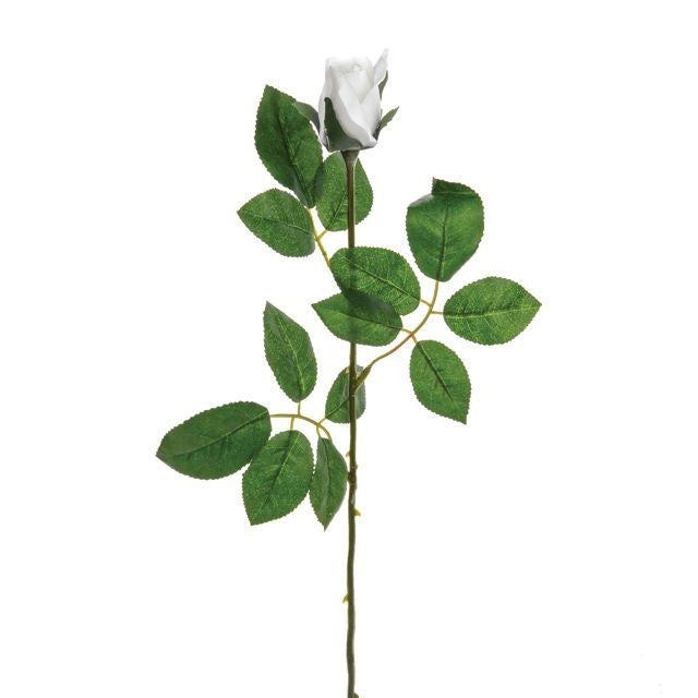 Discover the Premium White Rose Bud (68cm) at Bristow Direct