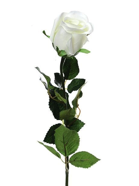 Discover the Cream Prize Rose Bud (64cm) at Bristow Direct