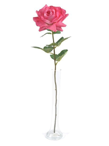 Discover the Pink Pippa Open Rose (68cm) at Bristow Direct