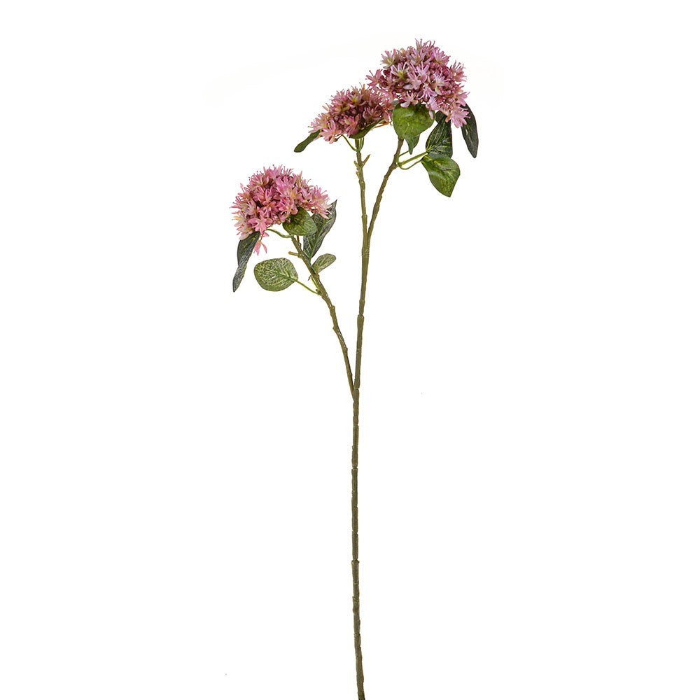 Discover the Dark Pink Artificial Sedum Spray (65 cm) at Bristow Direct
