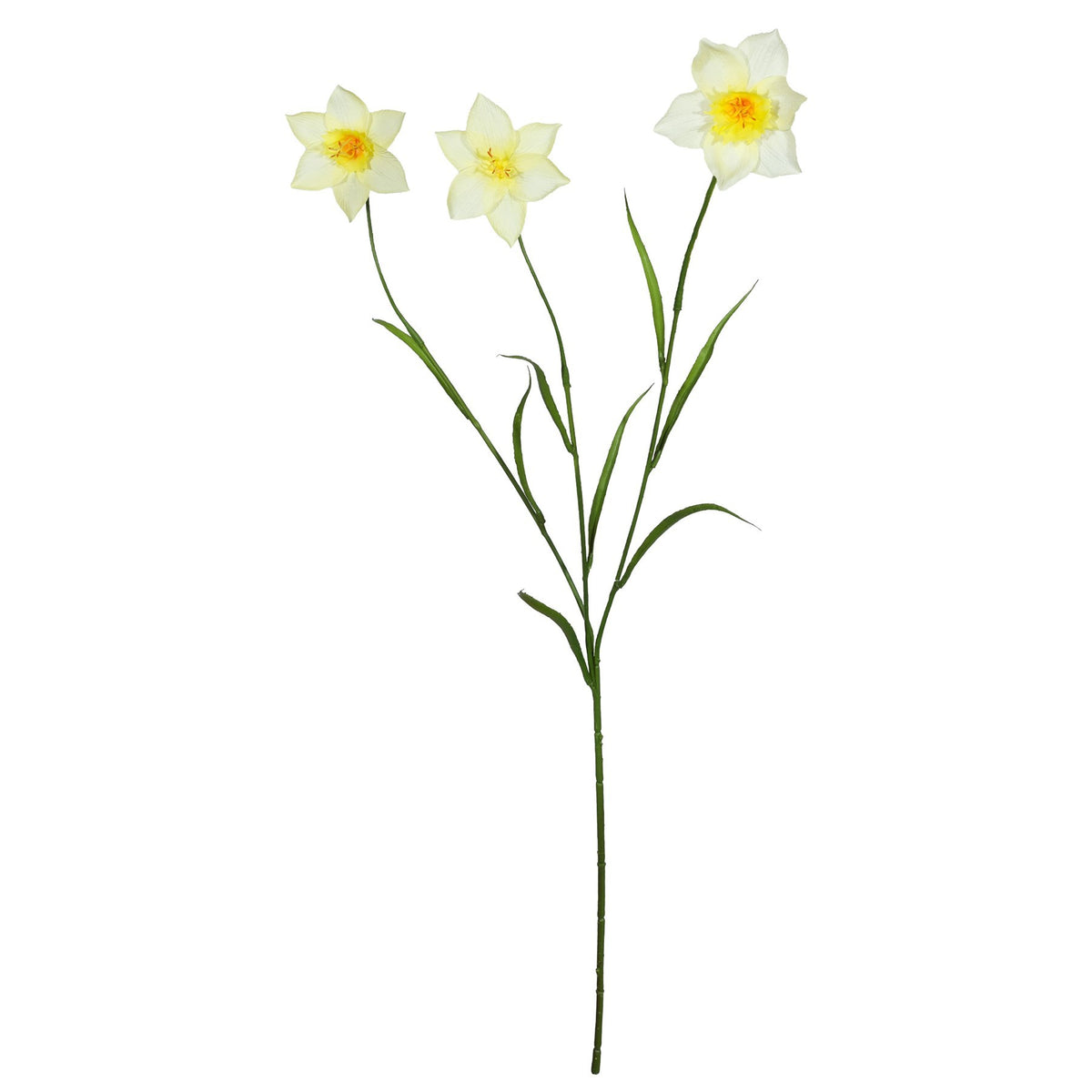 Discover the Yellow Daffodil Spray (70cm) at Bristow Direct