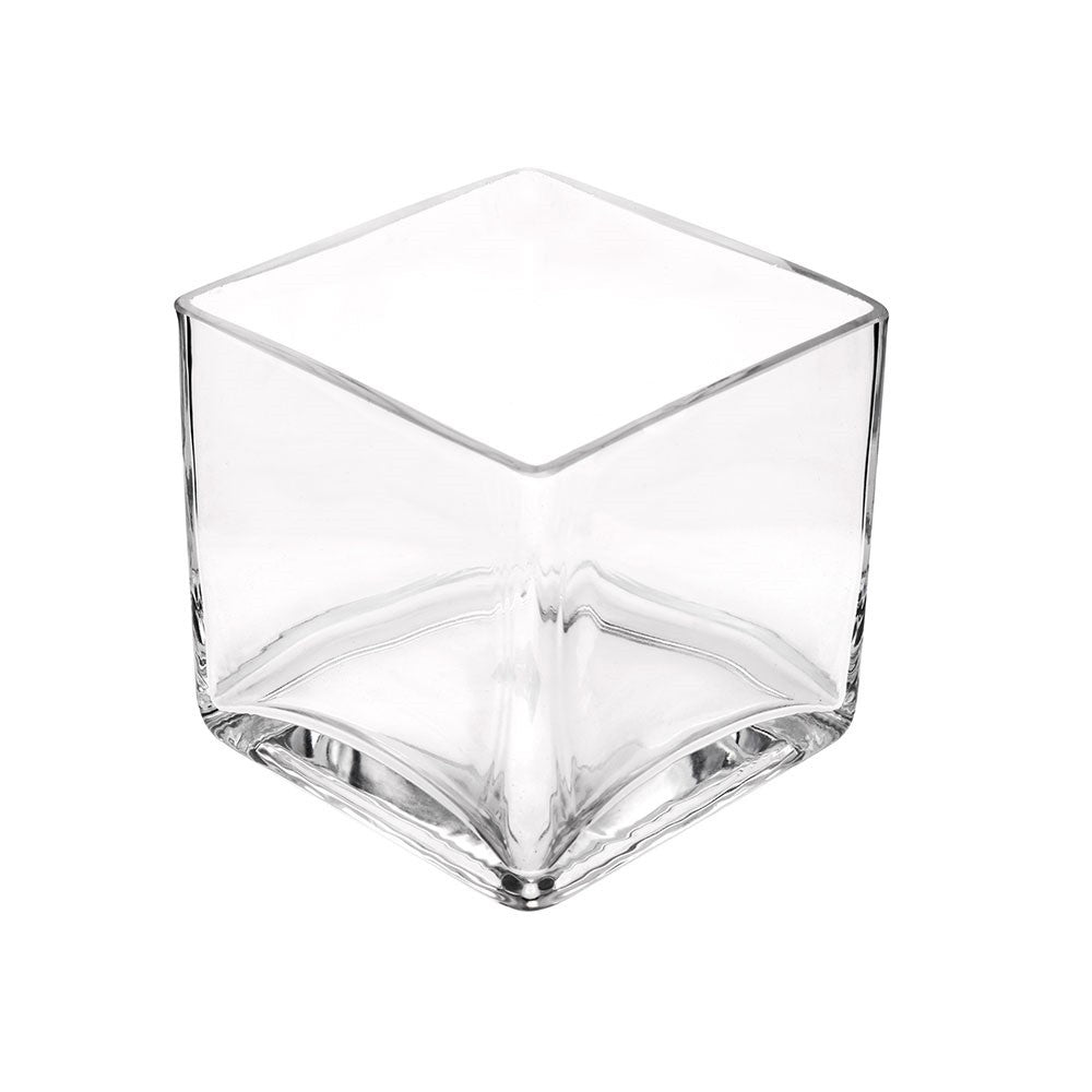Clear Glass Cube Vase (10cm)