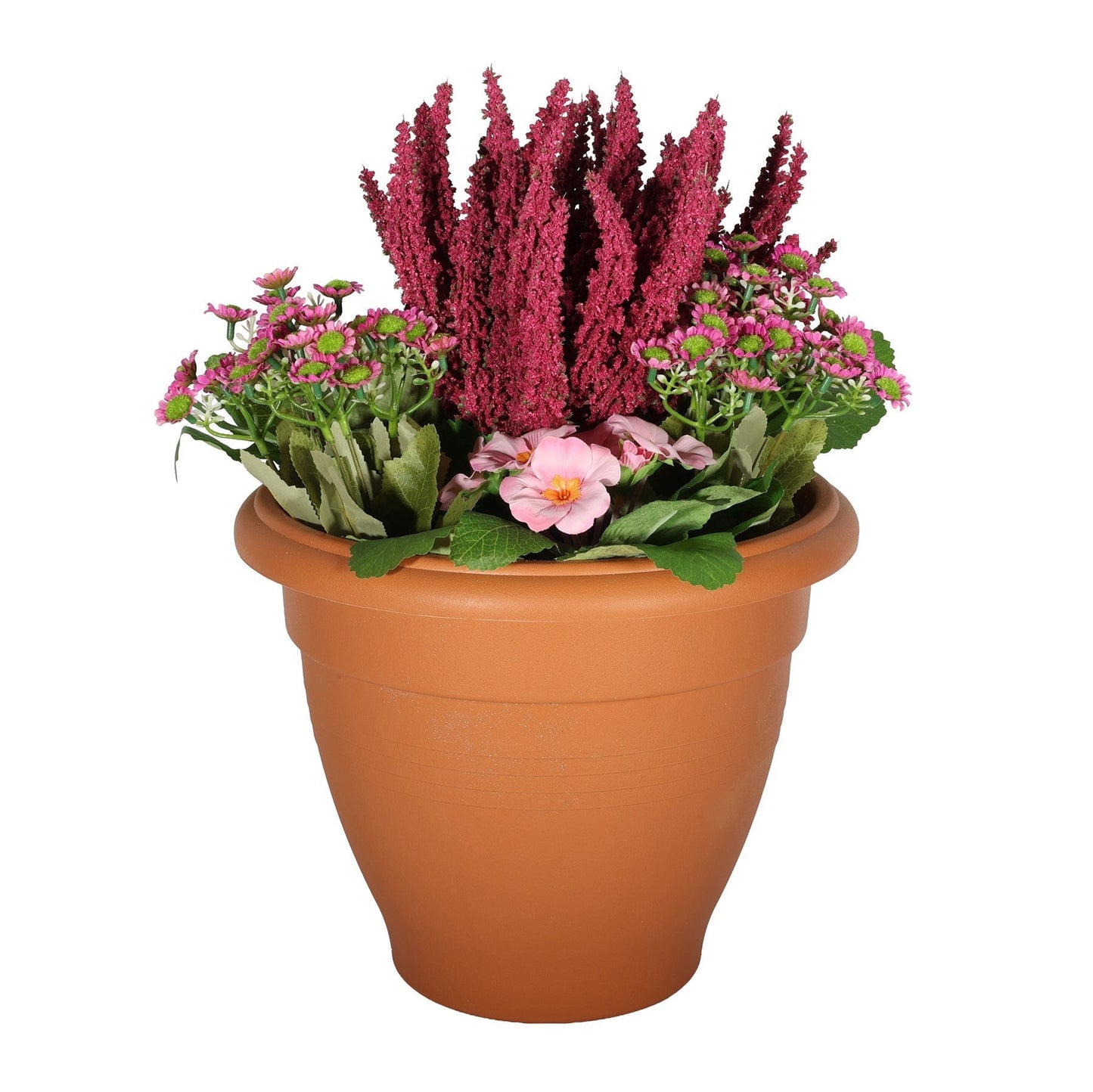 Discover the Pink Primula Erica Patio Planter at Bristow Direct