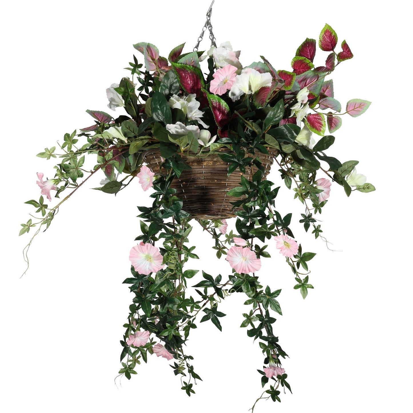 Coleus Hanging Basket