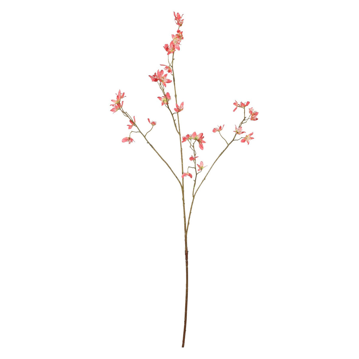 Discover the Pink Euphorbia Spray (94cm) at Bristow Direct
