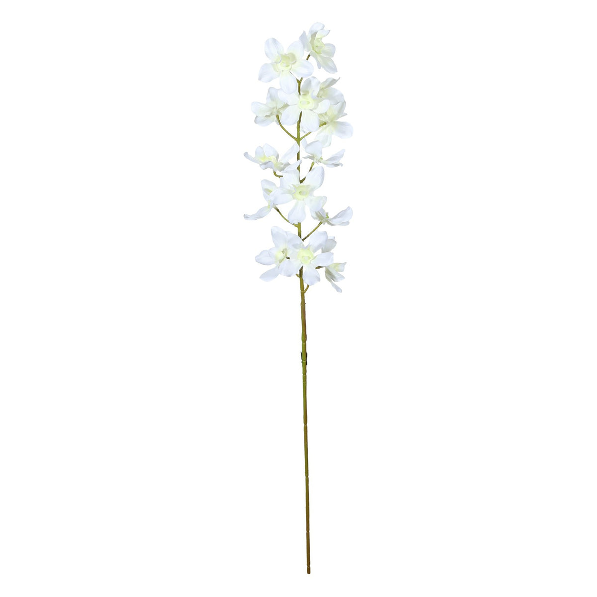 Discover the Cream Dendrobium Orchid Spray (72cm) at Bristow Direct
