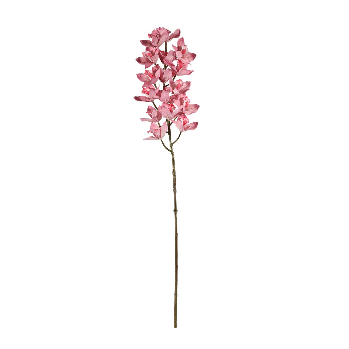 Discover the Pink Cymbidium Orchid Spray (80cm) at Bristow Direct