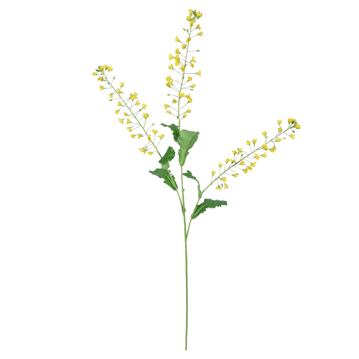 Discover the Rapeseed Flower Yellow (111cm) at Bristow Direct