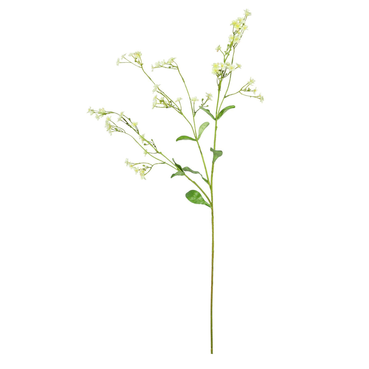 Discover the Yellow Forget-Me-Not Spray (76cm) at Bristow Direct