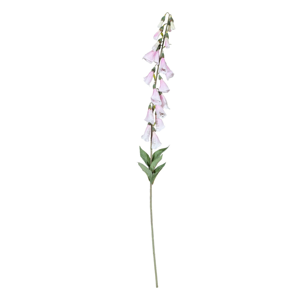 Discover the Digitalis Spray Light Pink (107cm) at Bristow Direct