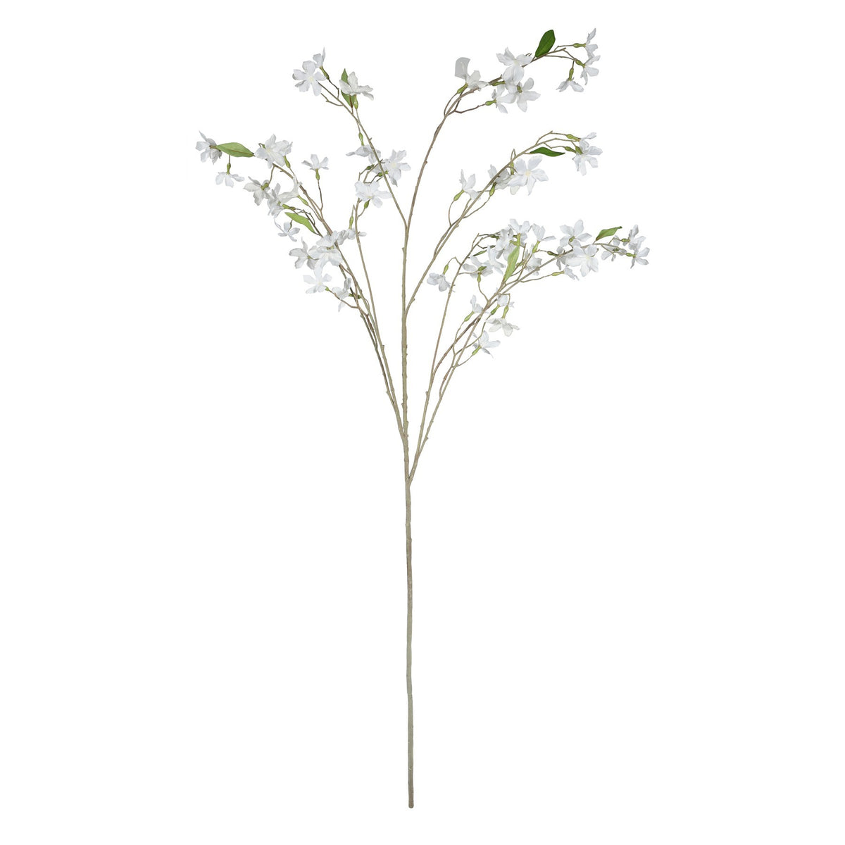 Discover the Cream Stephanotis Spray (153cm) at Bristow Direct
