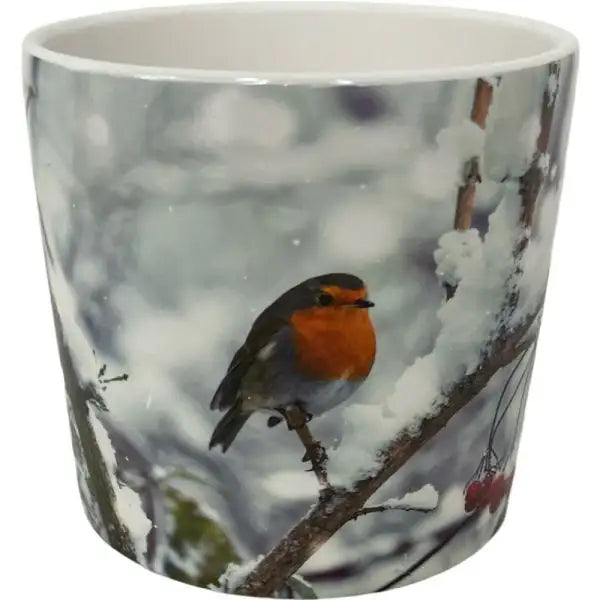 Photographic Robin on Wintery Branch Ceramic Pot