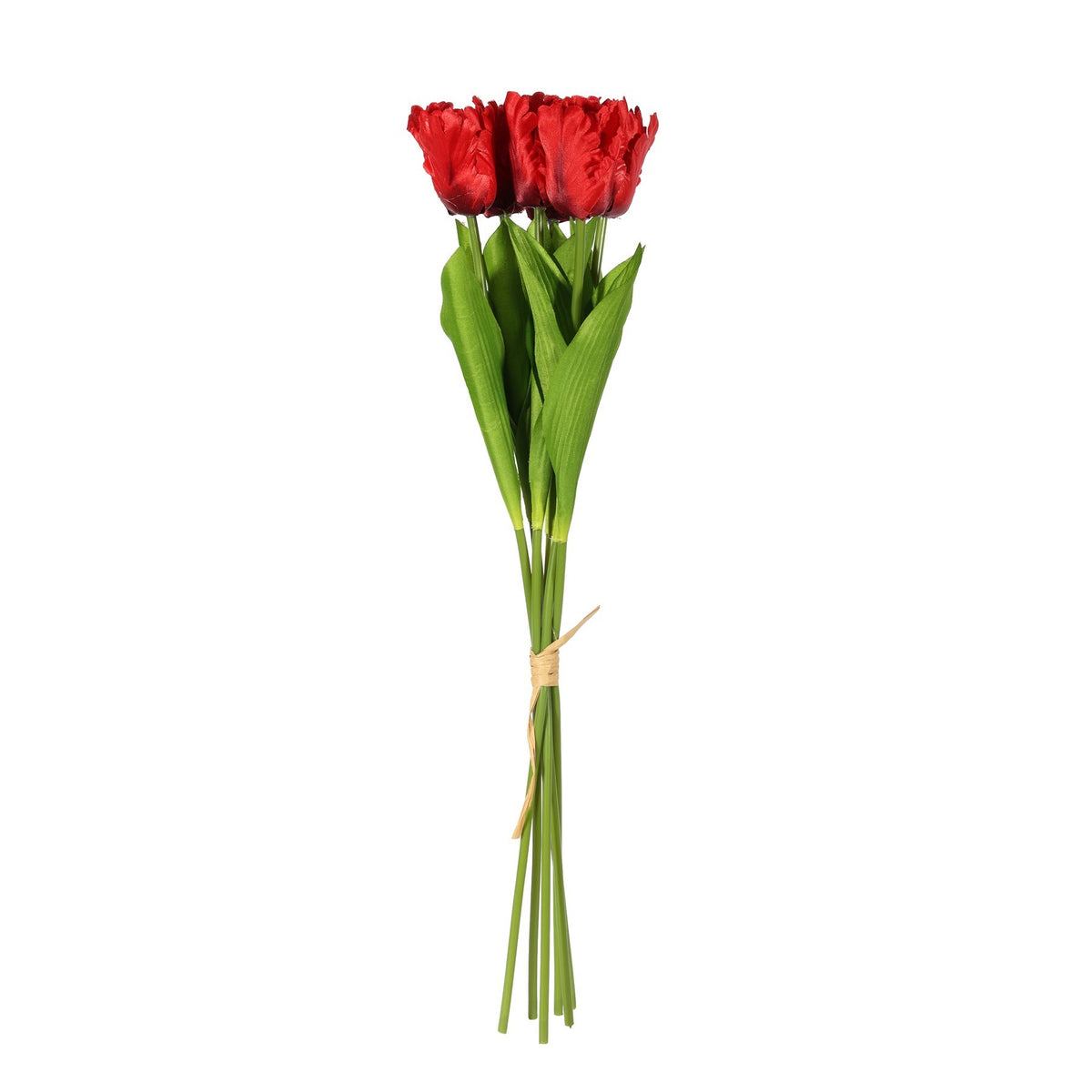 Discover the Essential Red Small Parrot Tulip Bunch (6 Stems) at Bristow Direct
