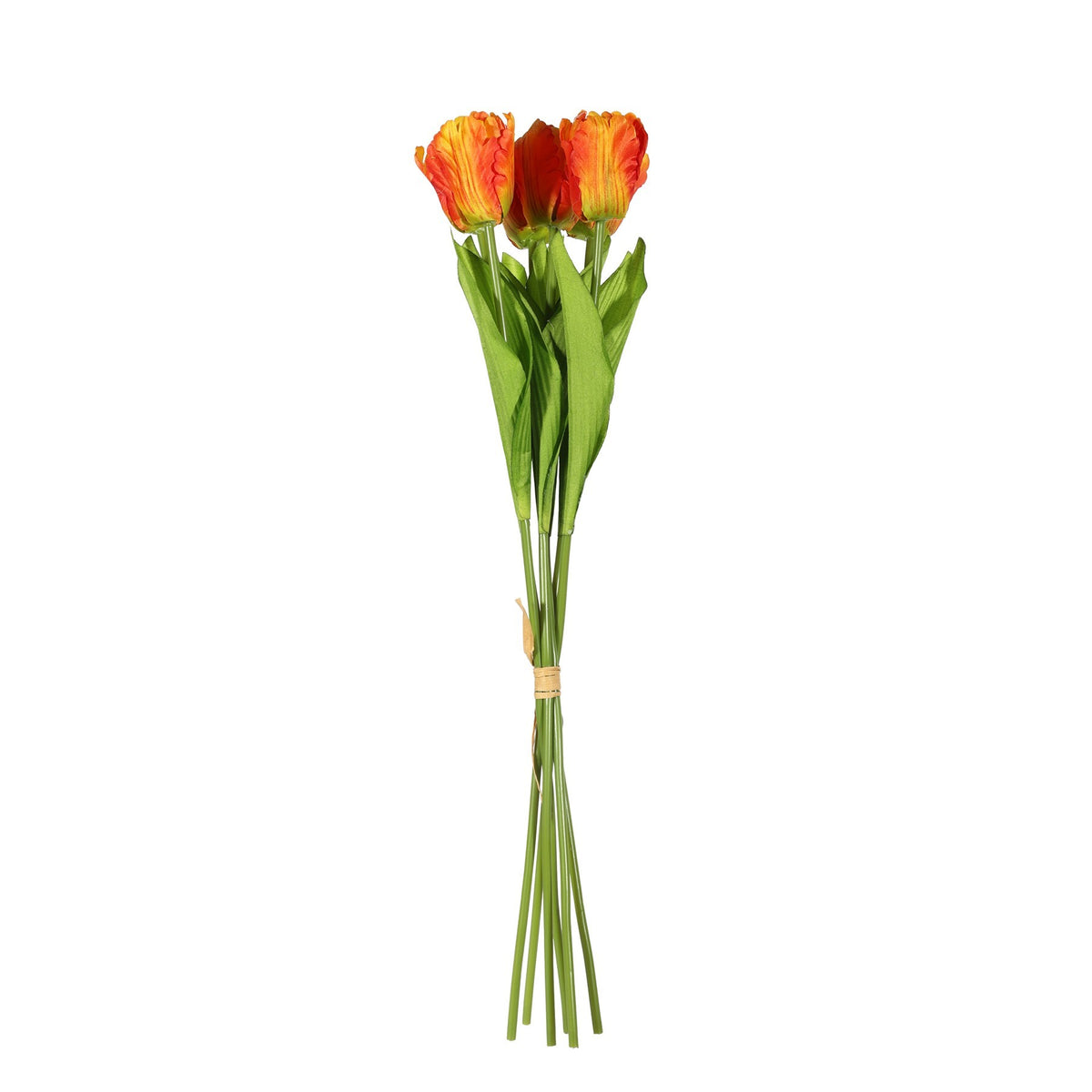 Discover the Essential Orange Small Parrot Tulip Bunch (6 Stems) at Bristow Direct