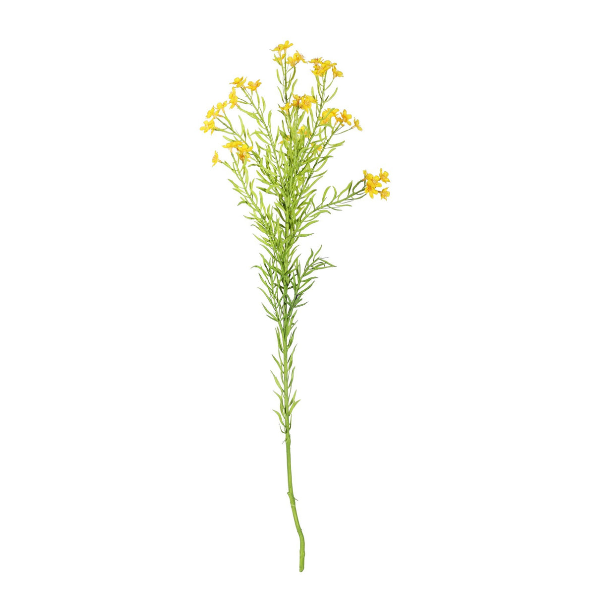 Discover the Waxflower Flower Yellow (68cm) at Bristow Direct