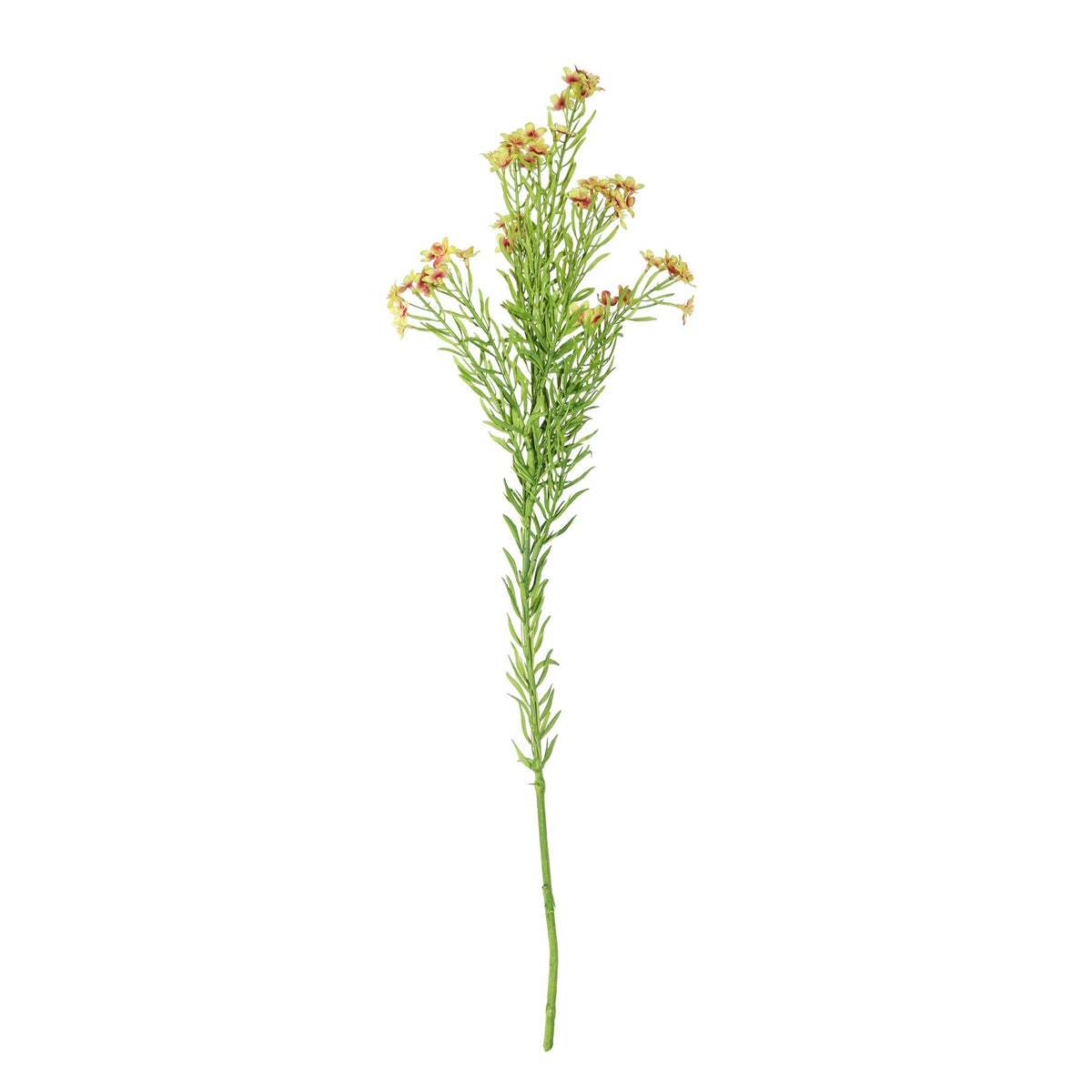 Discover the Waxflower Flower Green (68cm) at Bristow Direct