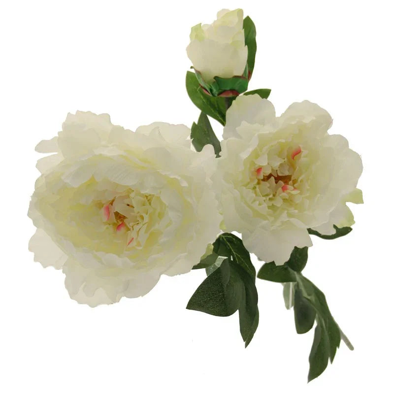 Three Peony Cream 82cm