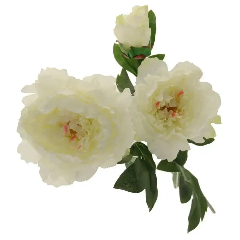 Three Peony Cream 82cm