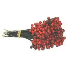 Red Plastic Berry Pick (7 Inch)