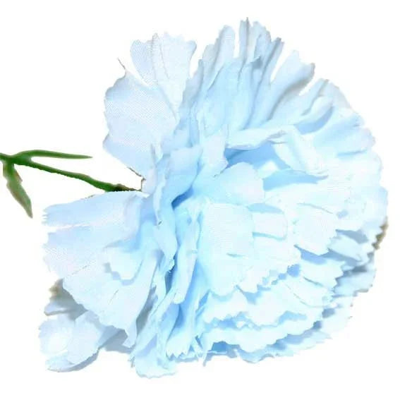 Baby Blue Single Carnations (12 Stems)