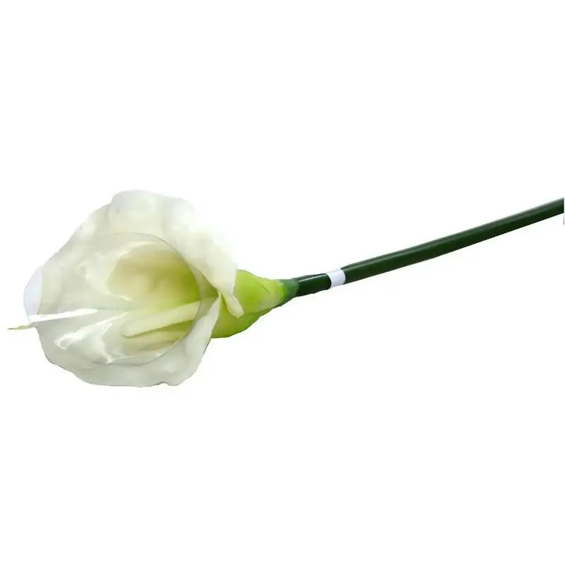 Medium Calla Lily Cream and Green