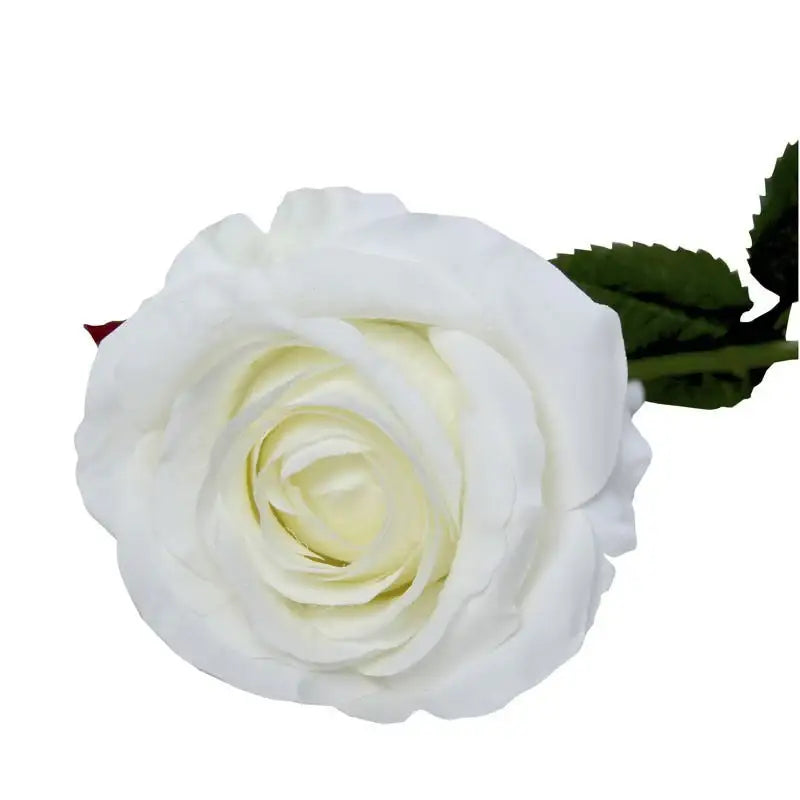 Elegant white rose with green leaves, perfect for home décor and special occasion gifts