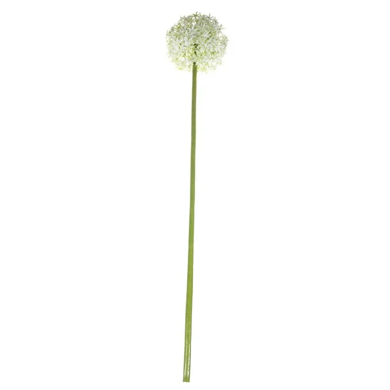 76cm Single Allium Cream & White