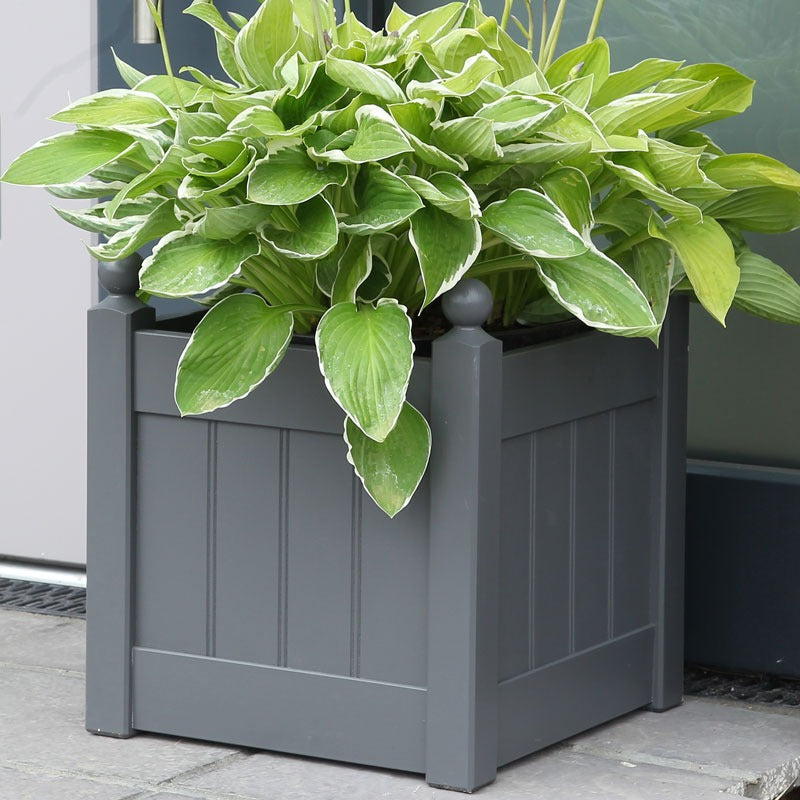 Discover the AFK Large Classic Painted Planter - Charcoal at Bristow Direct