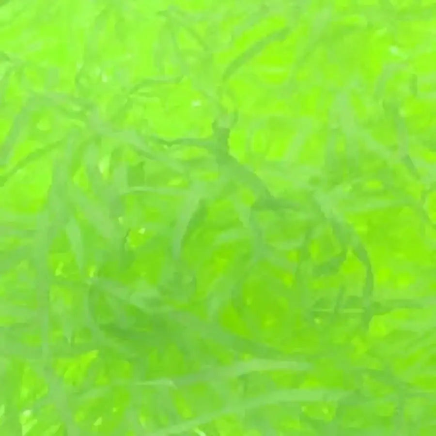 Lime Green Shredded Tissue 25g