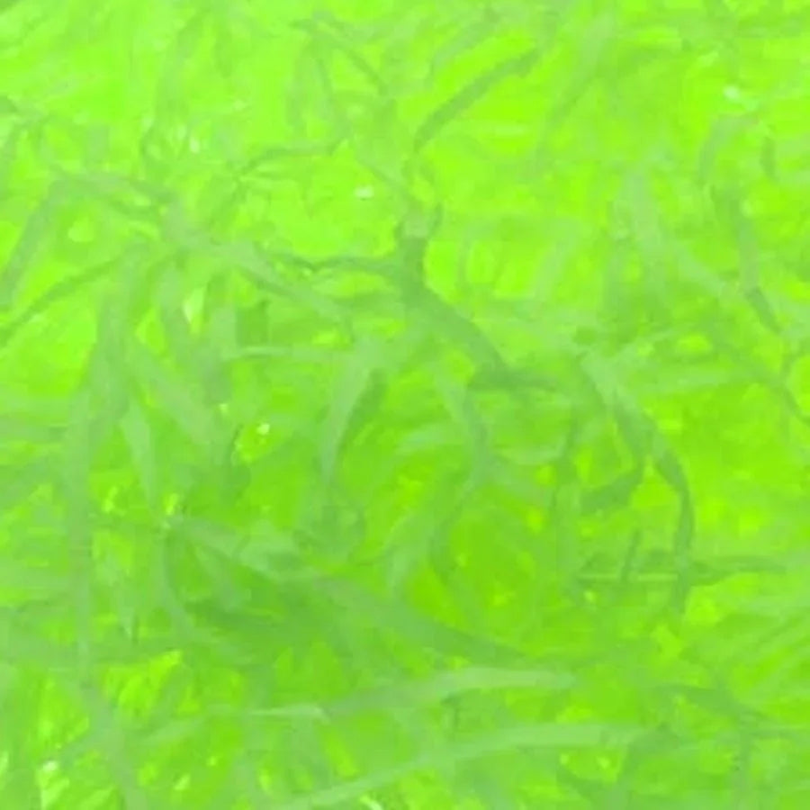 Lime Green Shredded Tissue 25g