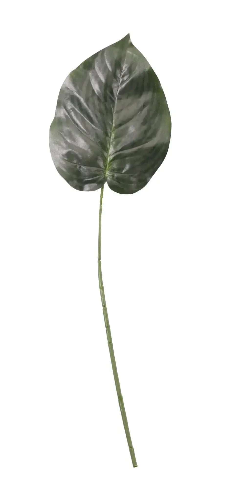 Green Hosta Single Leaf 23 Inch
