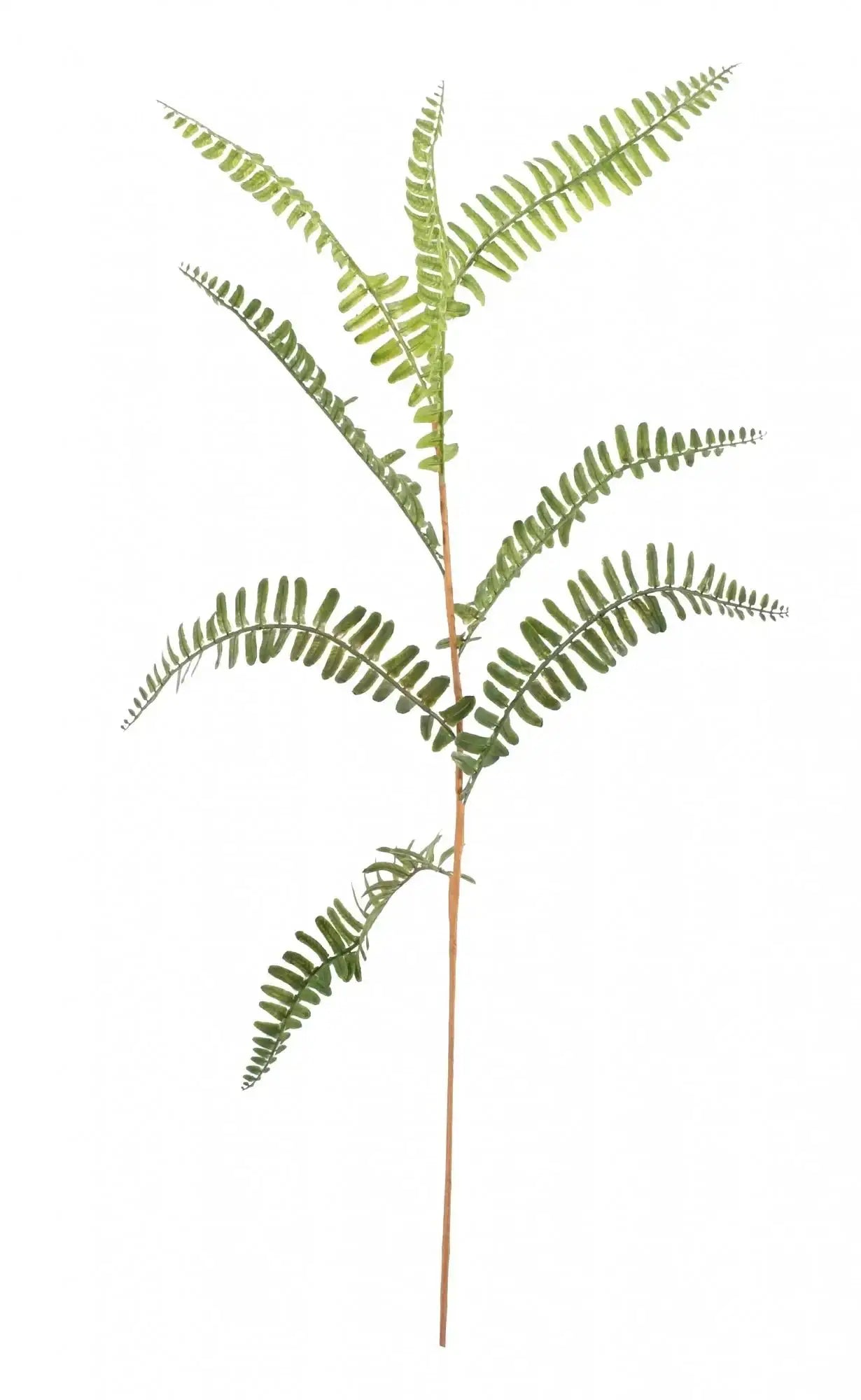 Mini Fern Spray 70cm