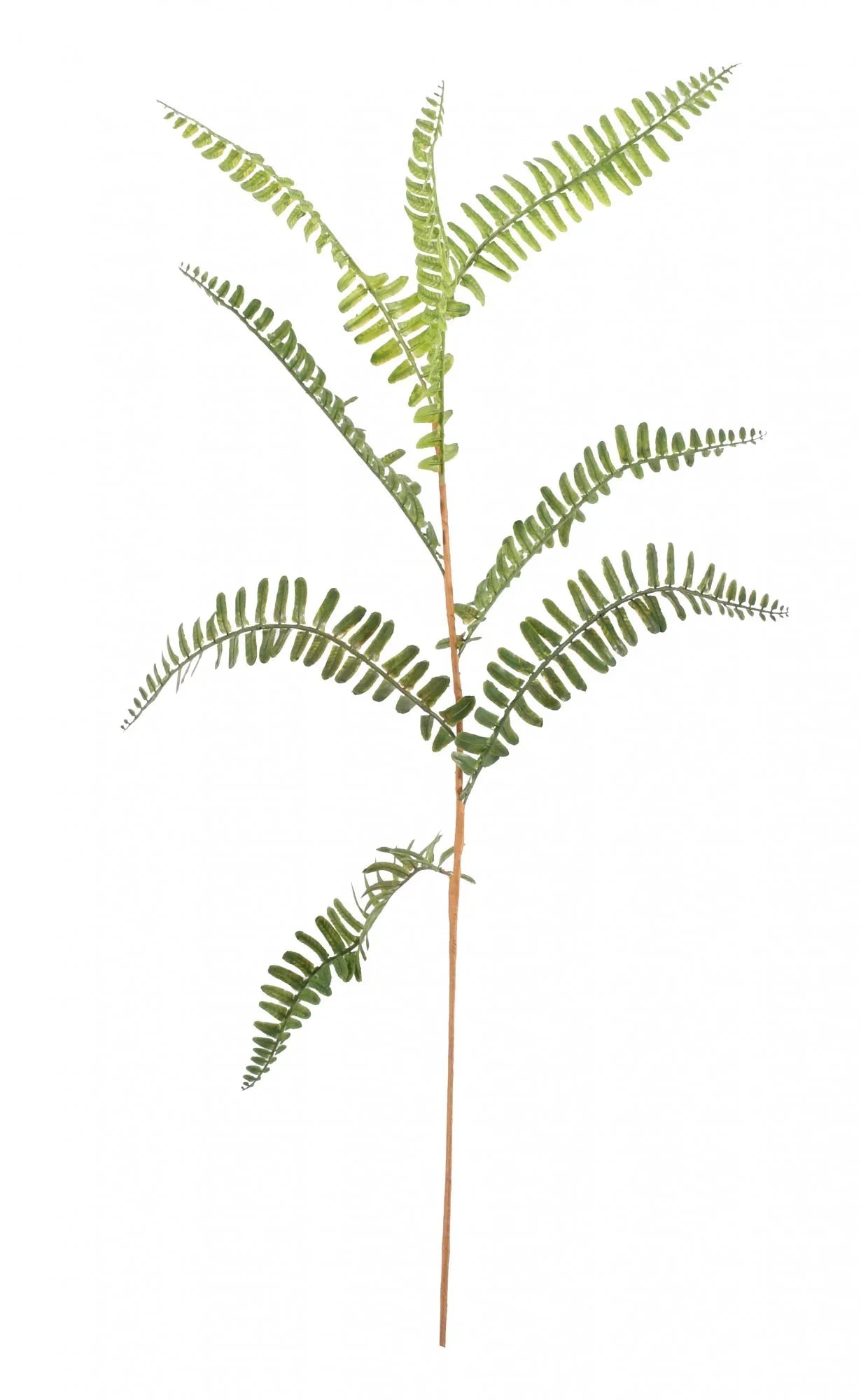 Mini Fern Spray 70cm